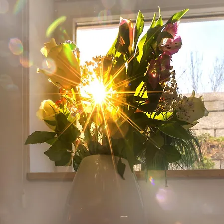 Ruhig Mod Appartement,privater Eingang דירה אוברהאכינג